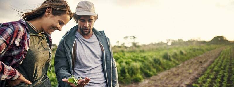 5 trender_SE(3)+FR(3)